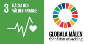 Globala målen 